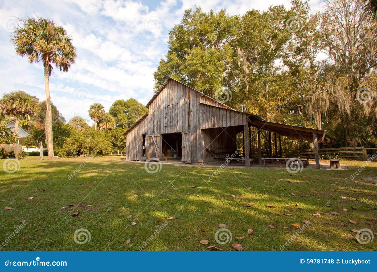 Florida barn stock photo. Image of vintage, barn, building 59781748