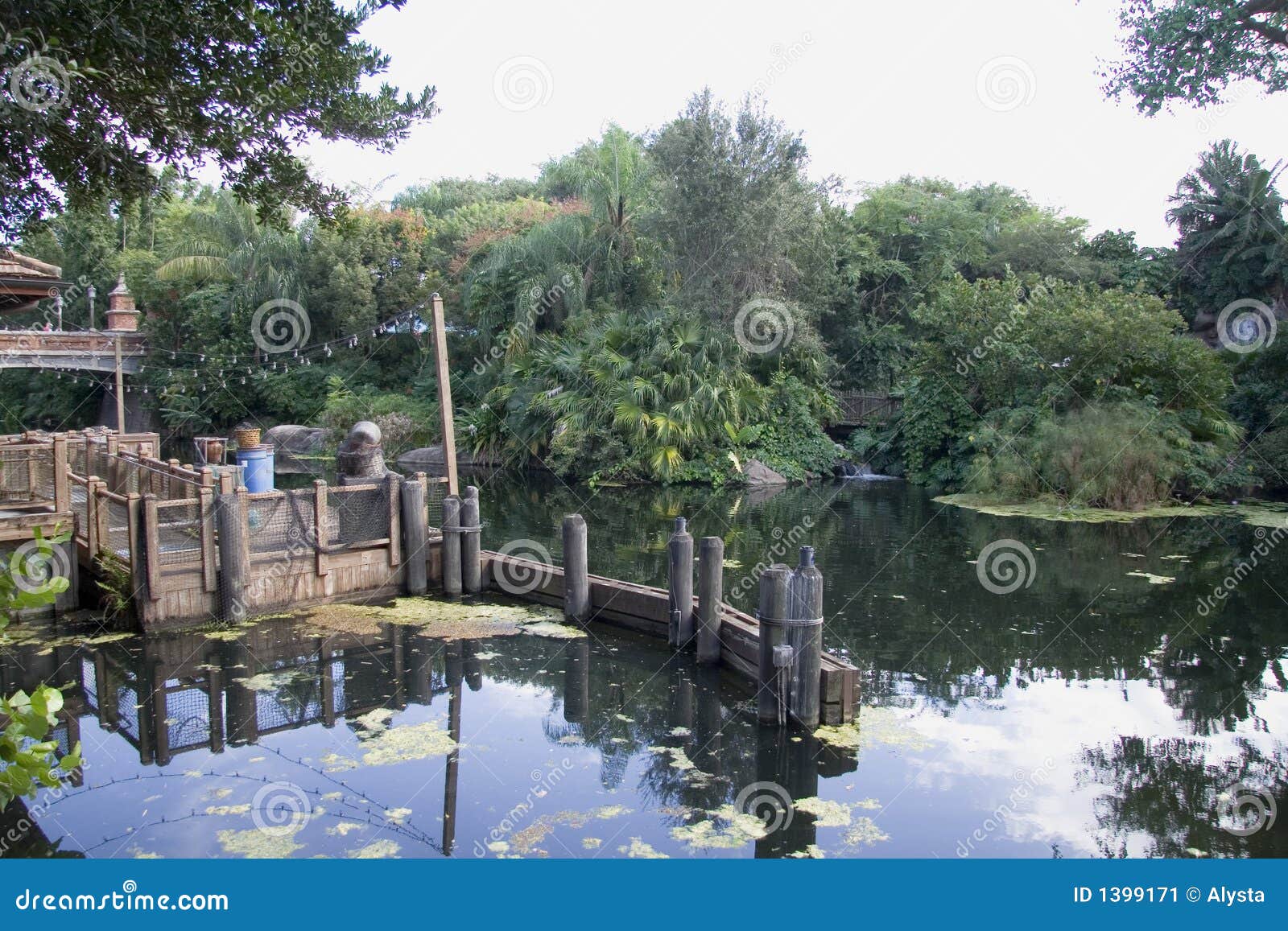 Florida Building On Swamp Stock Image - Image: 1399171