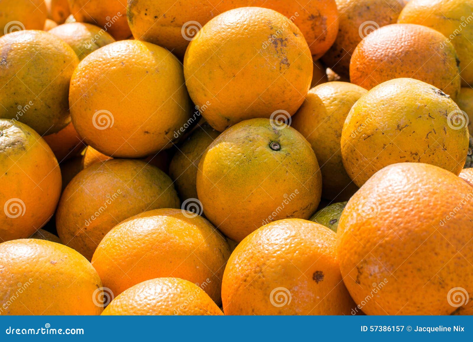 Florida oranges background stock image. Image of fruit 57386157