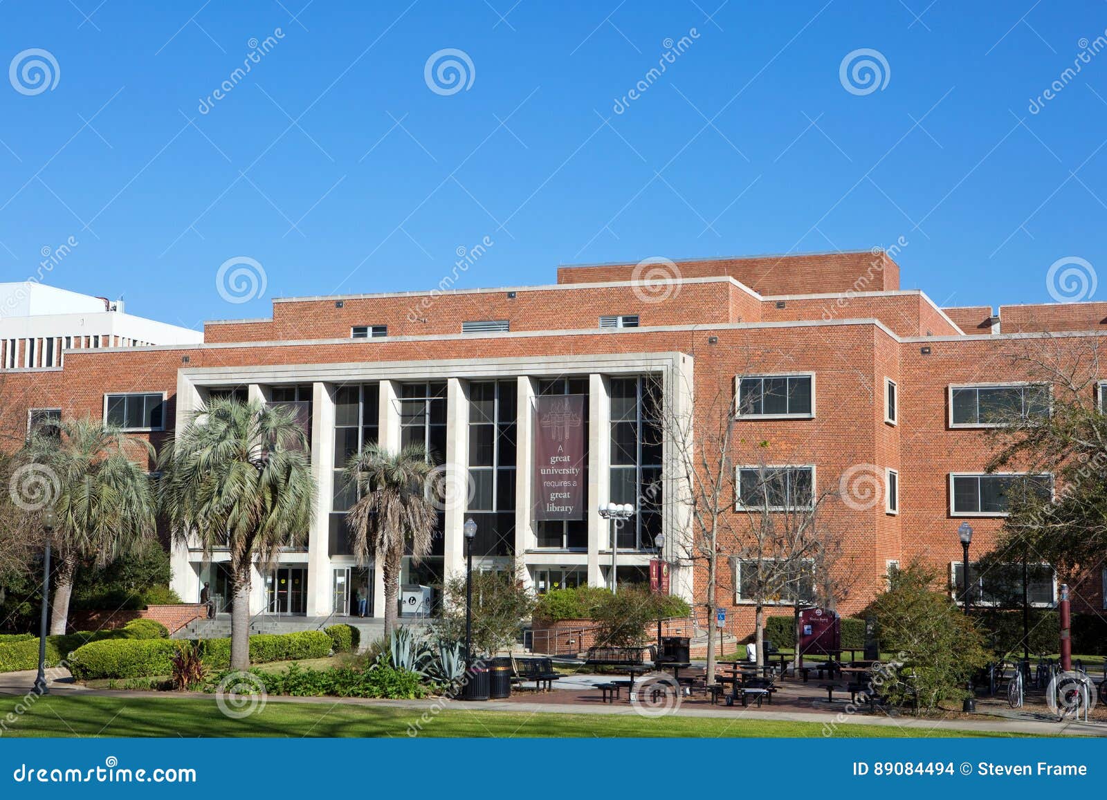 florida state university phd library science