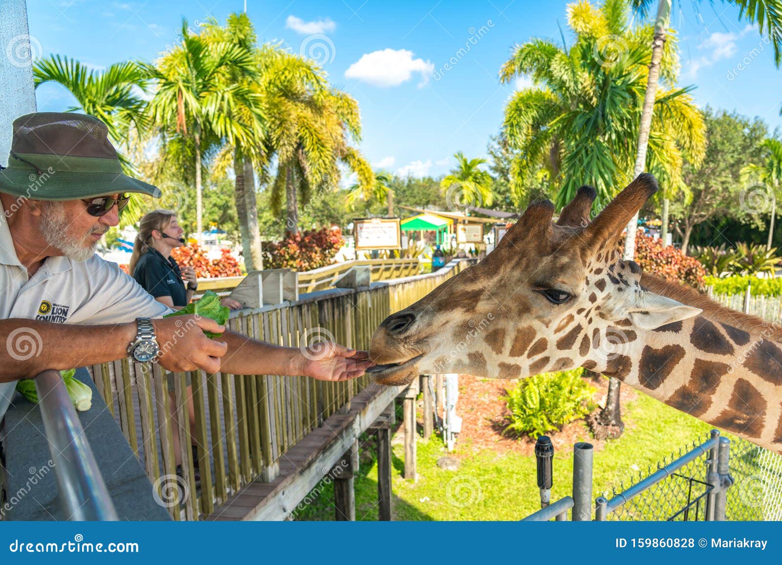 giraffe safari florida