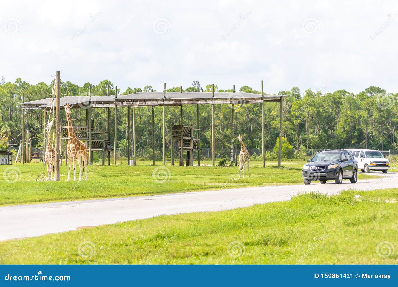 drive through safari west palm beach fl