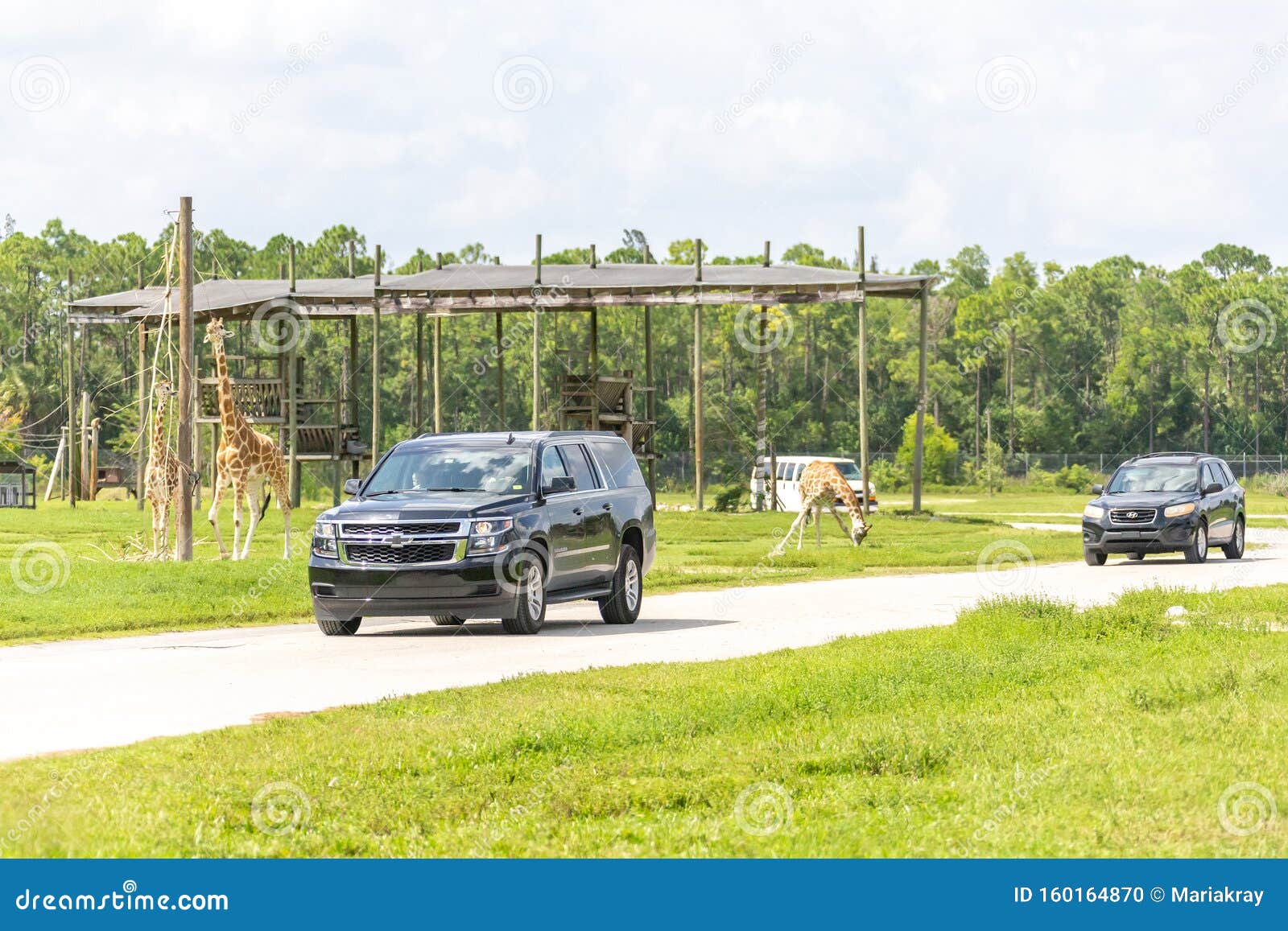 drive thru safari west palm beach