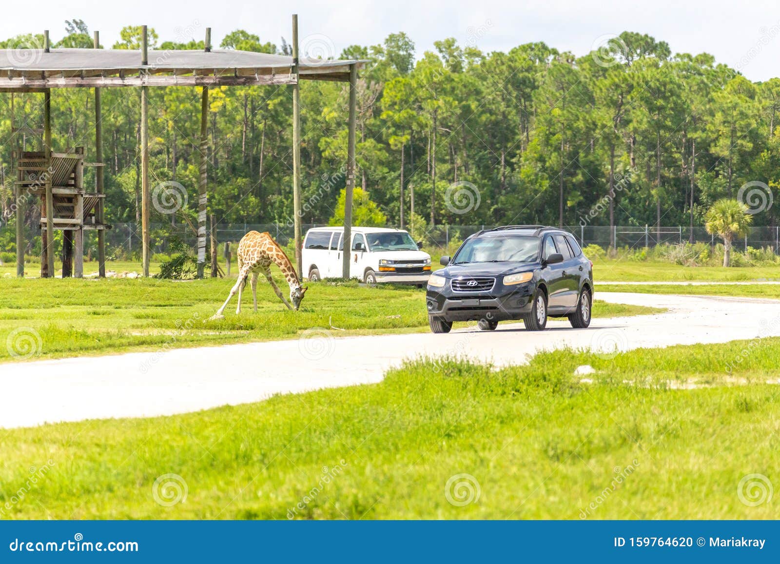 drive thru safari west palm beach