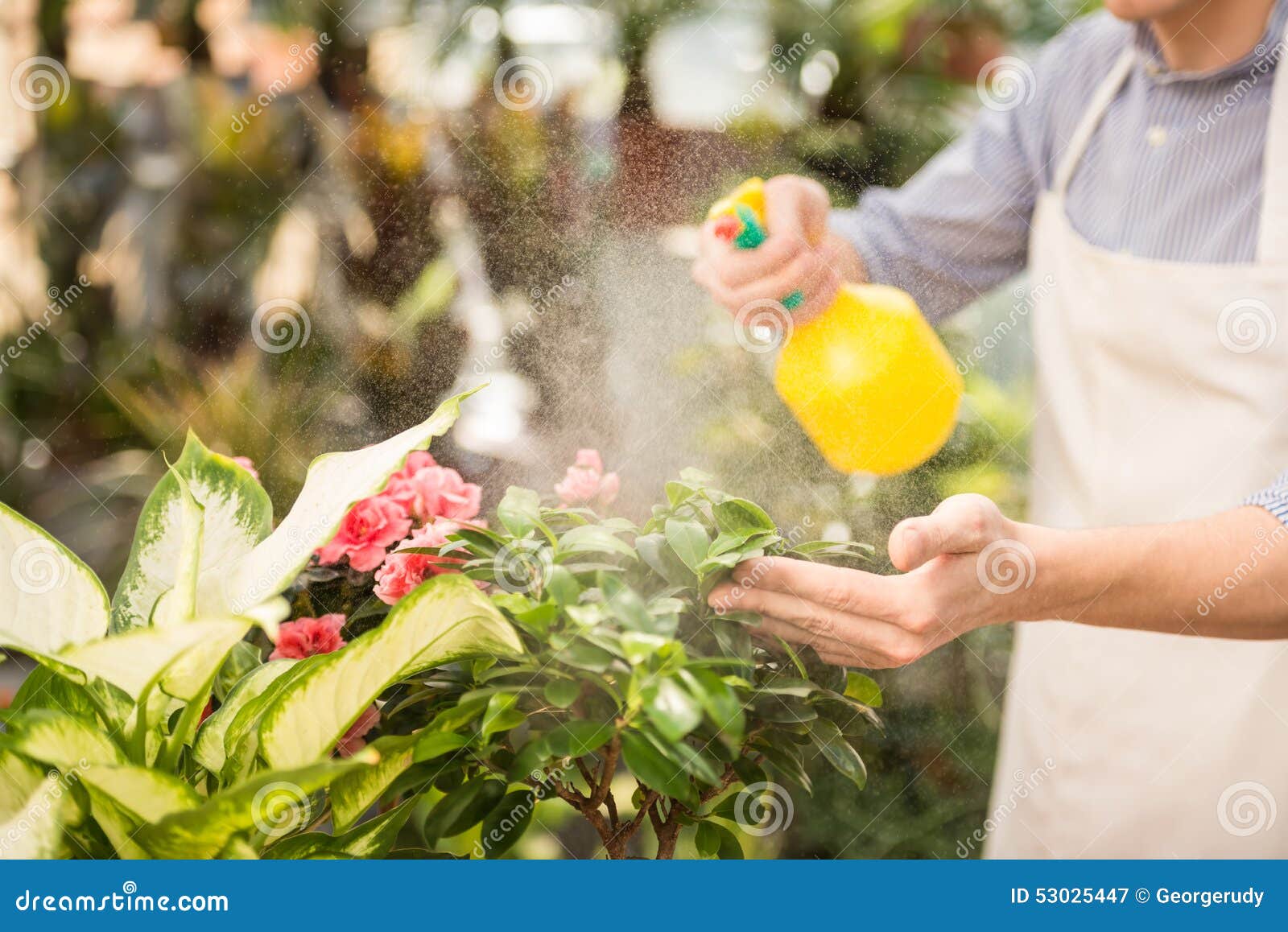 Flower spray. Floral Spray.