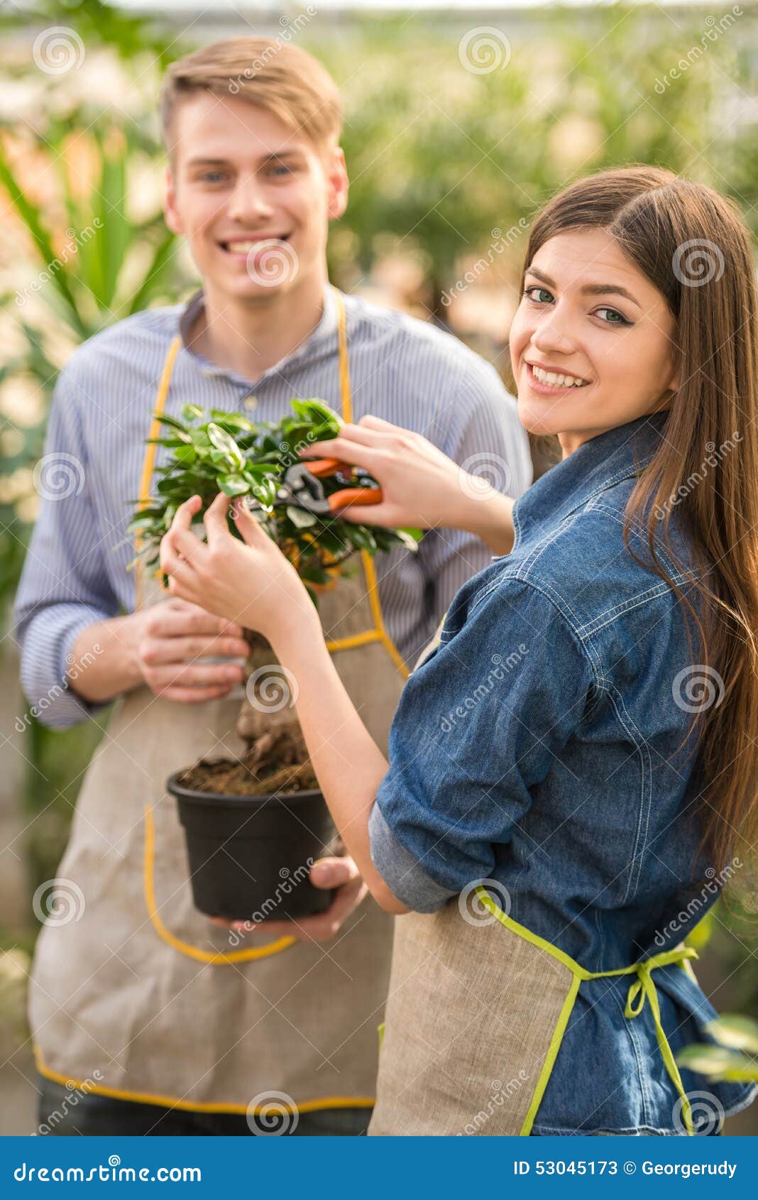 Dois floristas consideráveis novos que trabalham na loja de flores