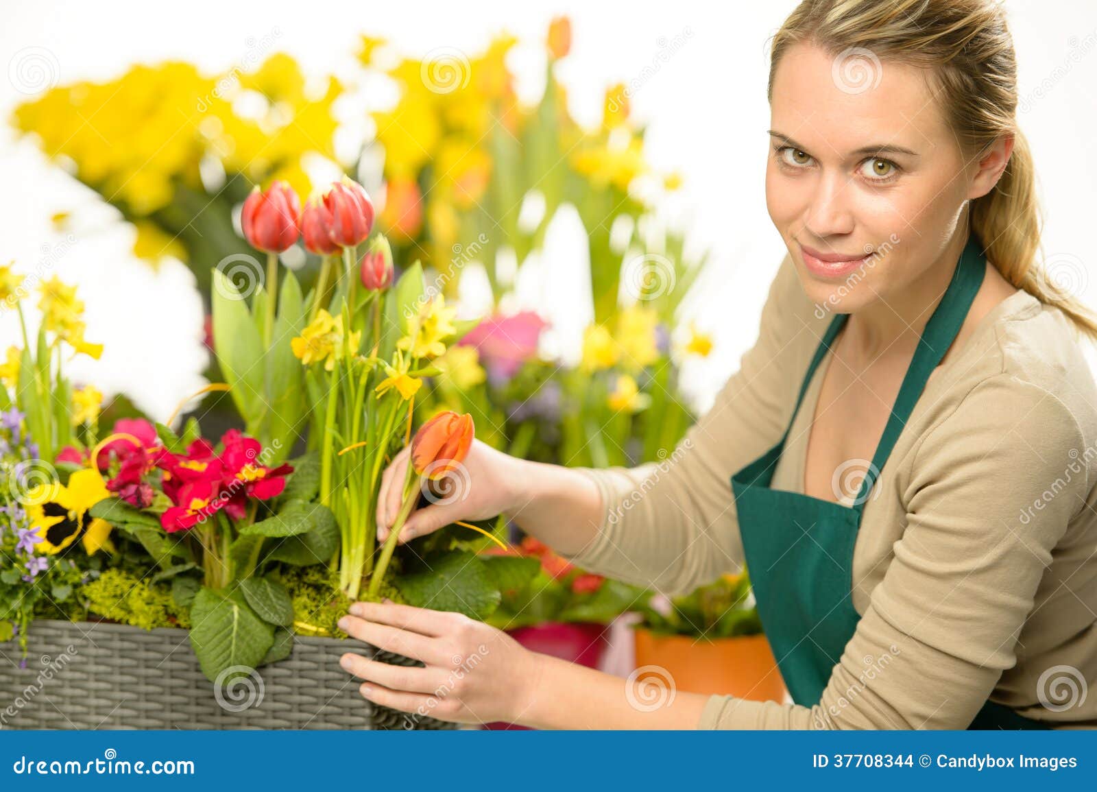 florist arrange spring flowers colorful plants