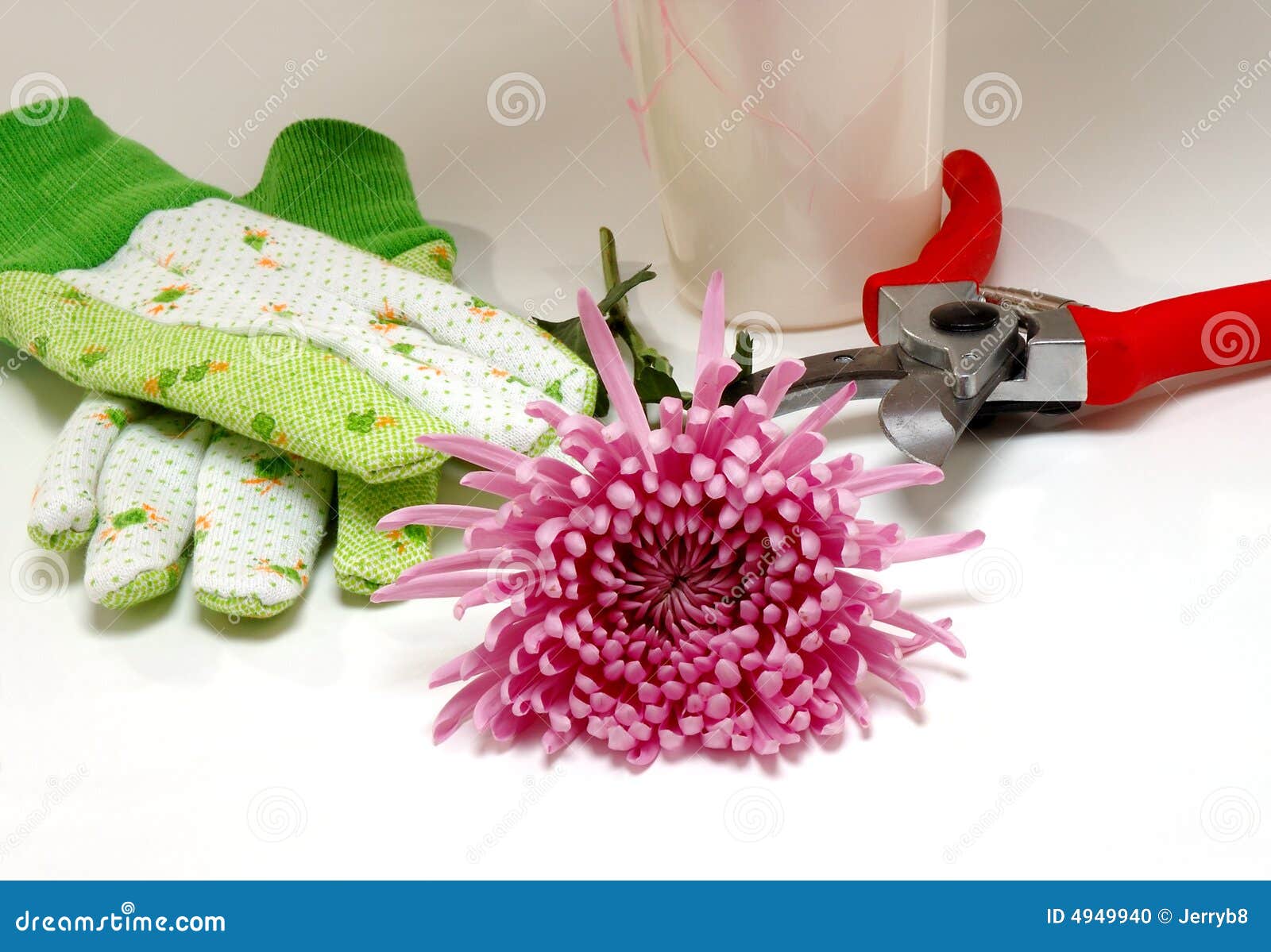 Florist s tools and flower stock photo. Image of growing 4949940