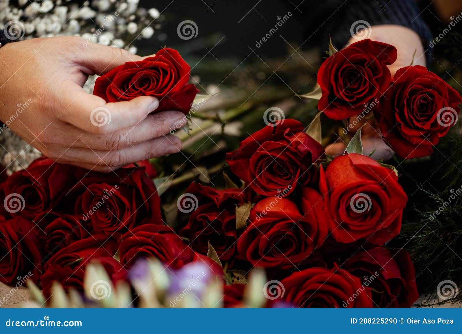 Floristería Haciendo Ramos De Rosas Rojas Para El Día De San Valentín Foto  de archivo - Imagen de fresco, saludo: 208225290