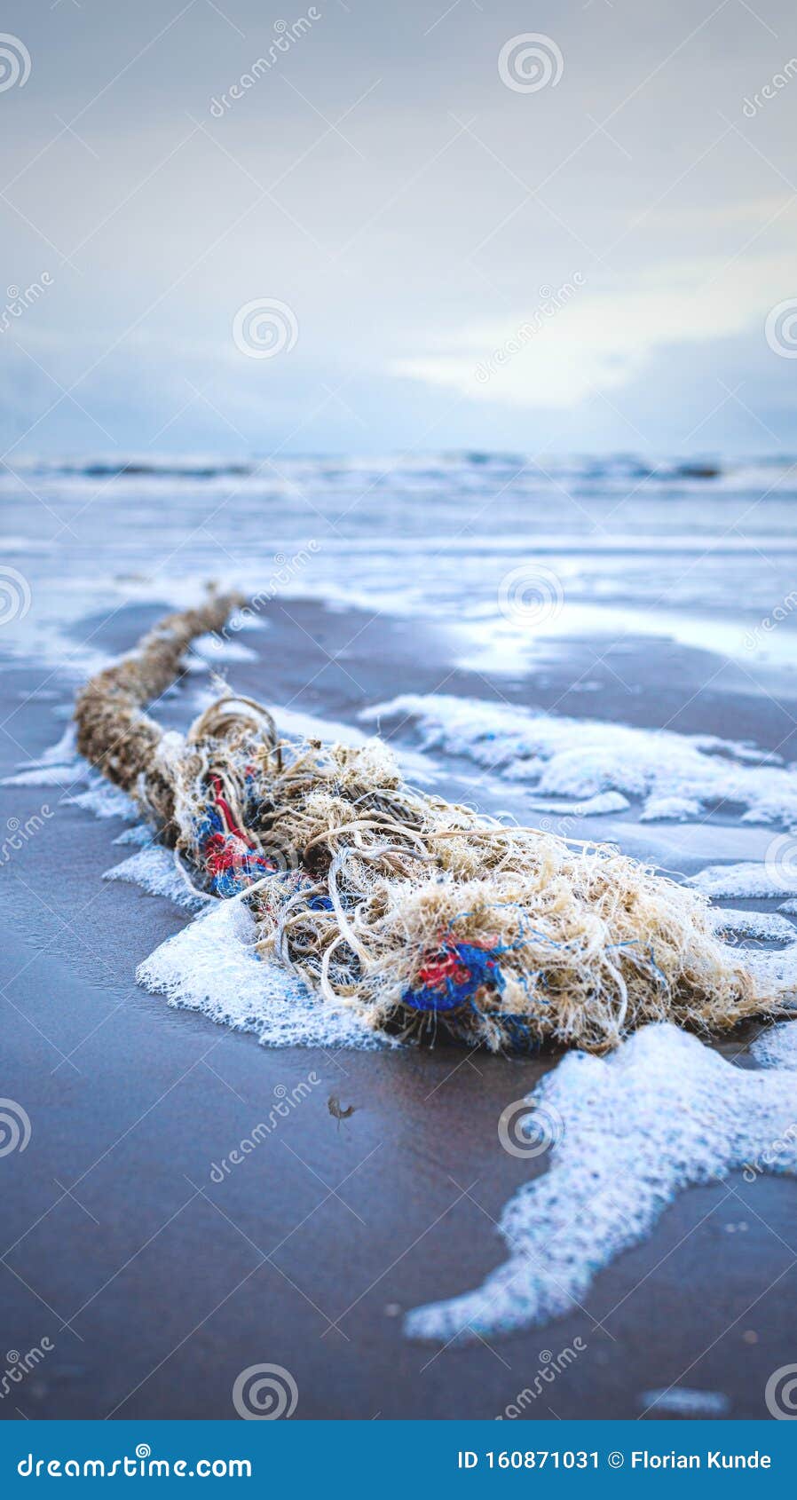 Flotsam En La Playa Del Mar Del Norte Imagen de archivo - Imagen de ...