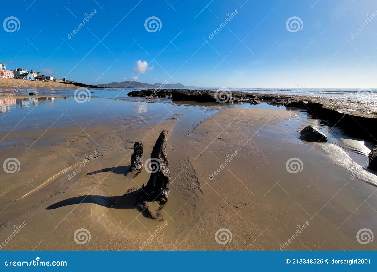 flotsam s on the beach