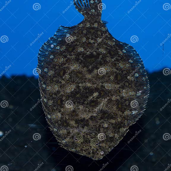 My Image 11