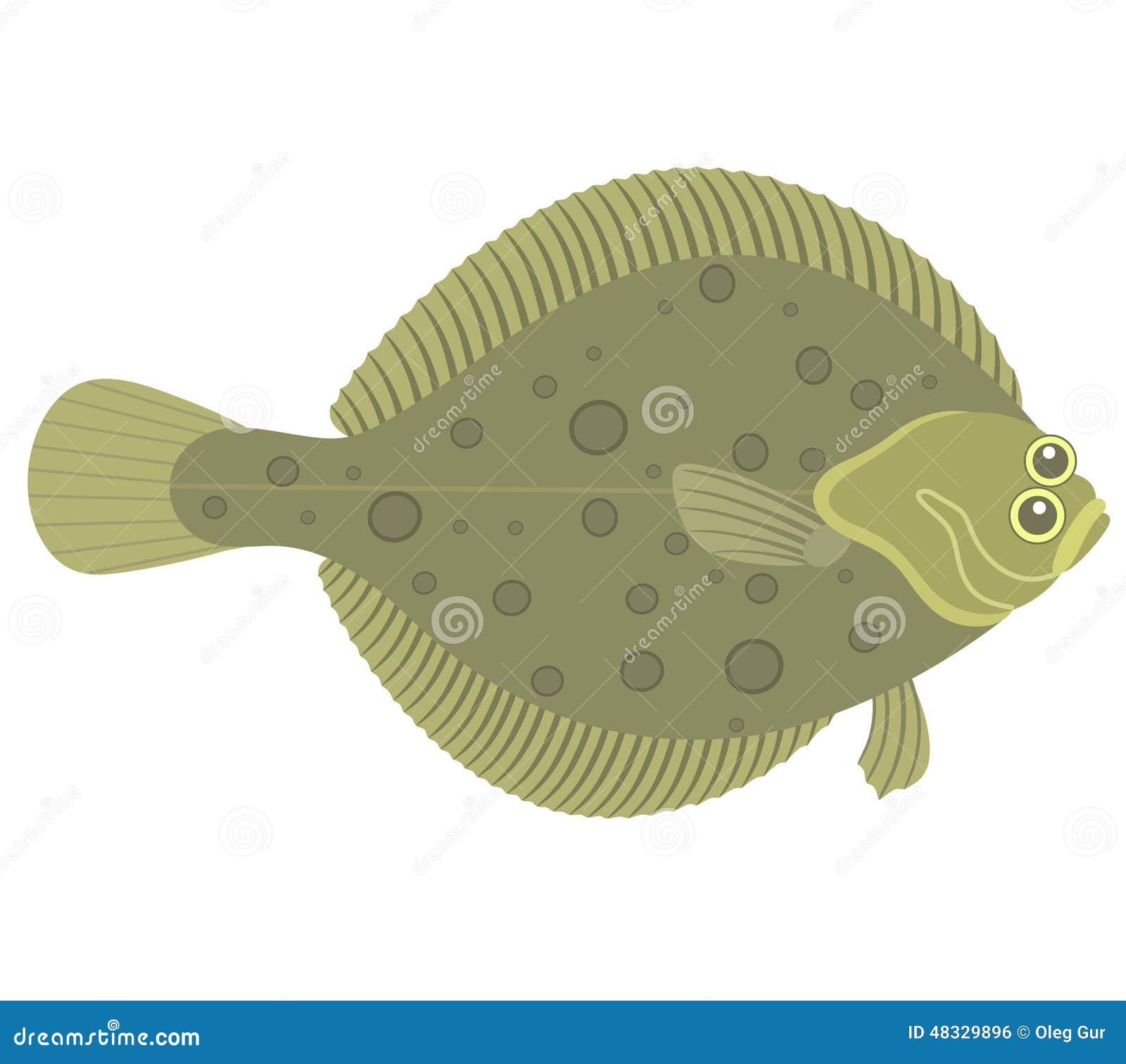Flounder Stock Vector Illustration Of Fish Food Unusual 48329896