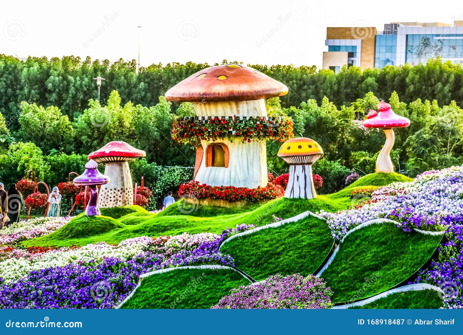 Dubai Miracle Garden Tickets Attractions To The World S Largest Flower Park