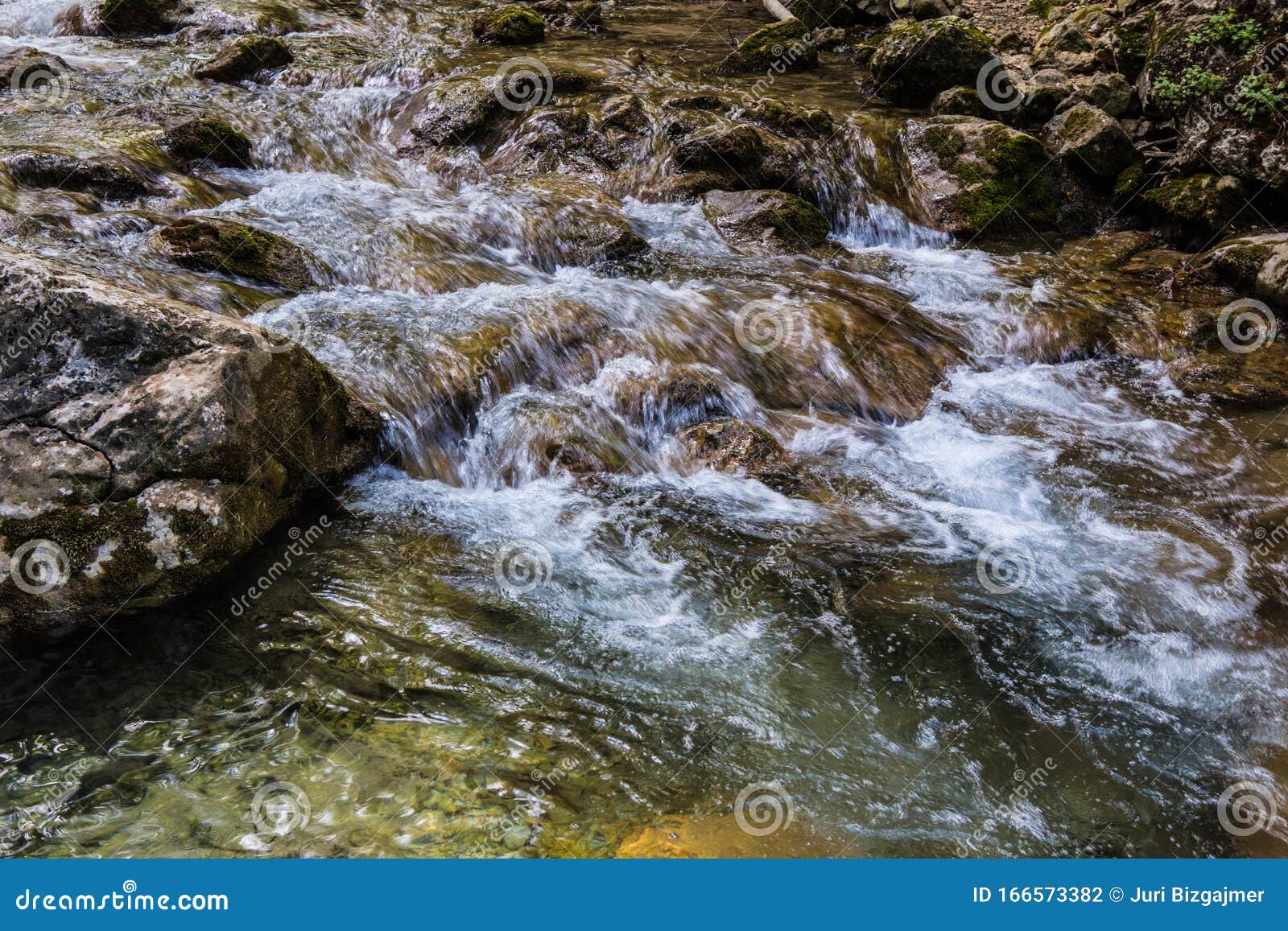 Water Bed Stock Photos Download 42,547 Royalty Free Photos