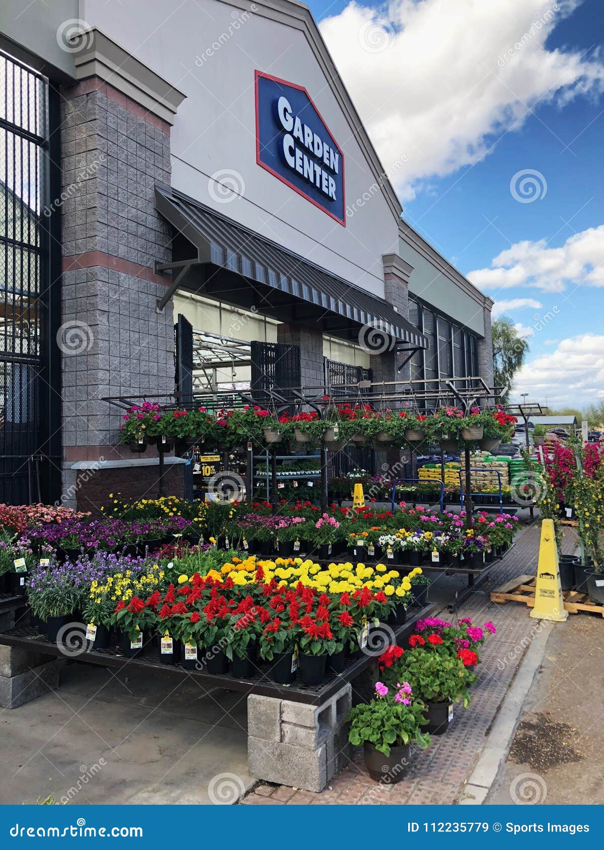 Flowers For Sale At Lowes Garden Center Editorial Stock Image