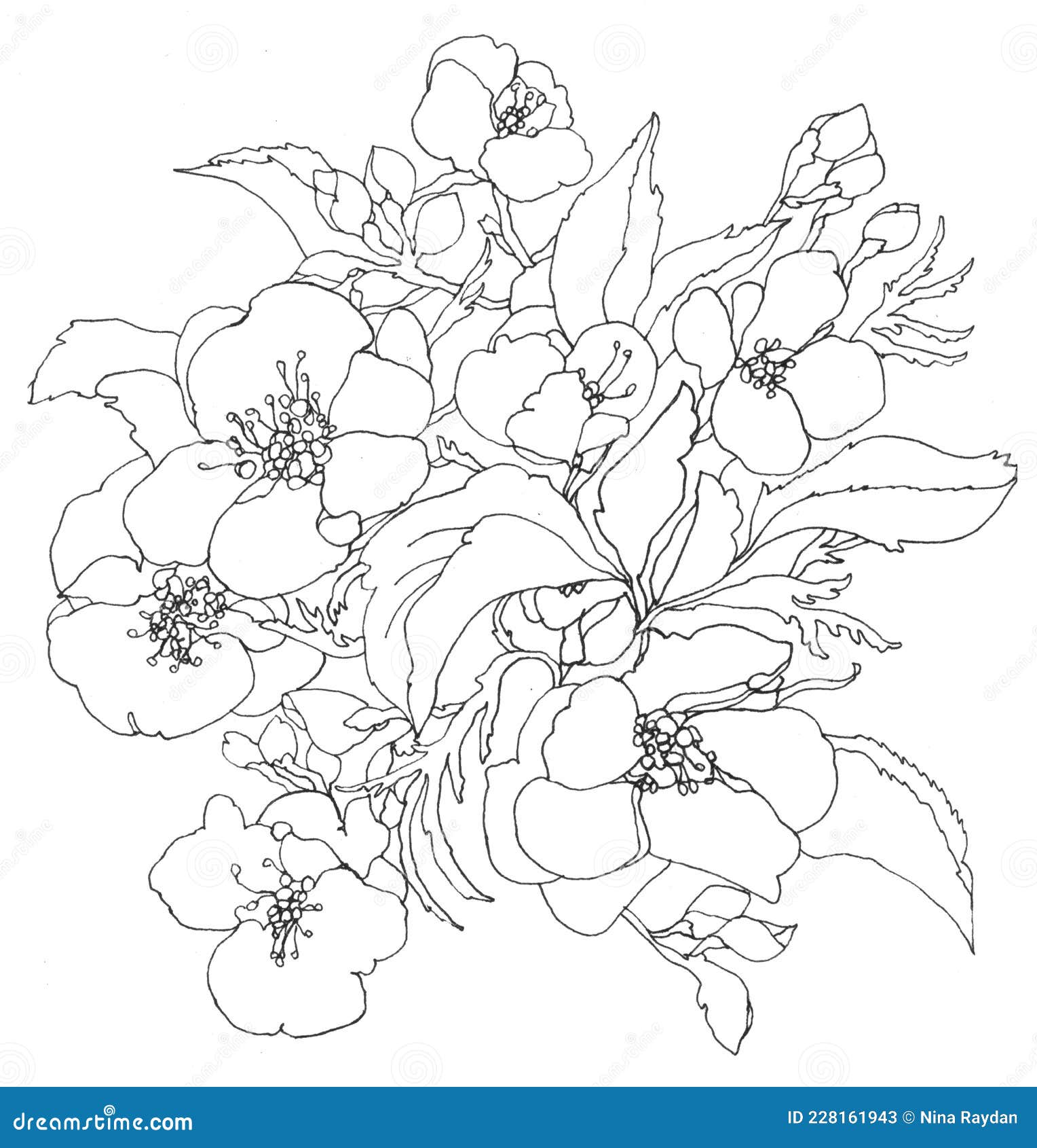 Flower Apple Tree Lineart Pattern Stock Image Image of person, branch