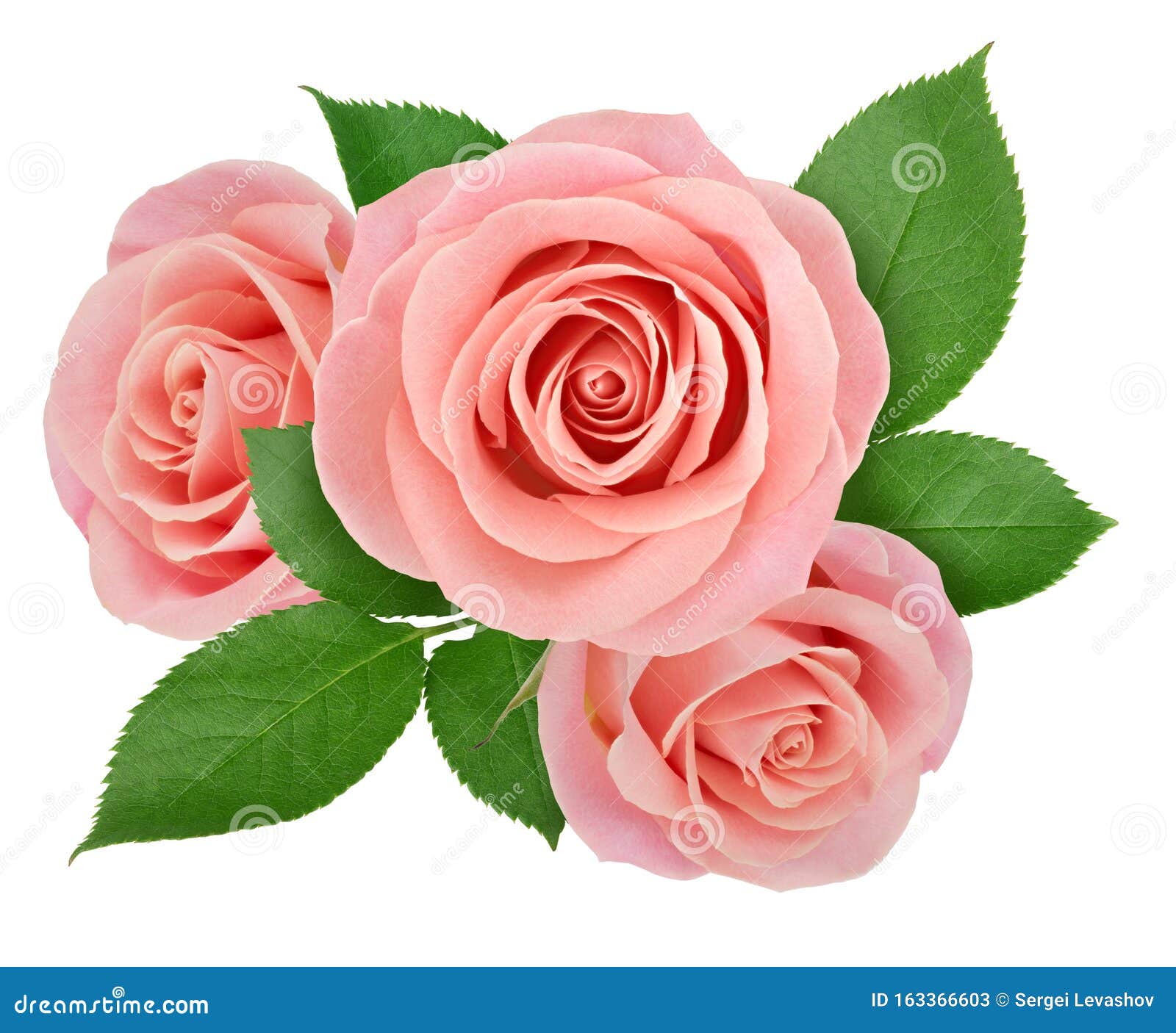 Pink Flower Group Clip Art Stock Photos - Free & Royalty-Free Stock Photos  from Dreamstime