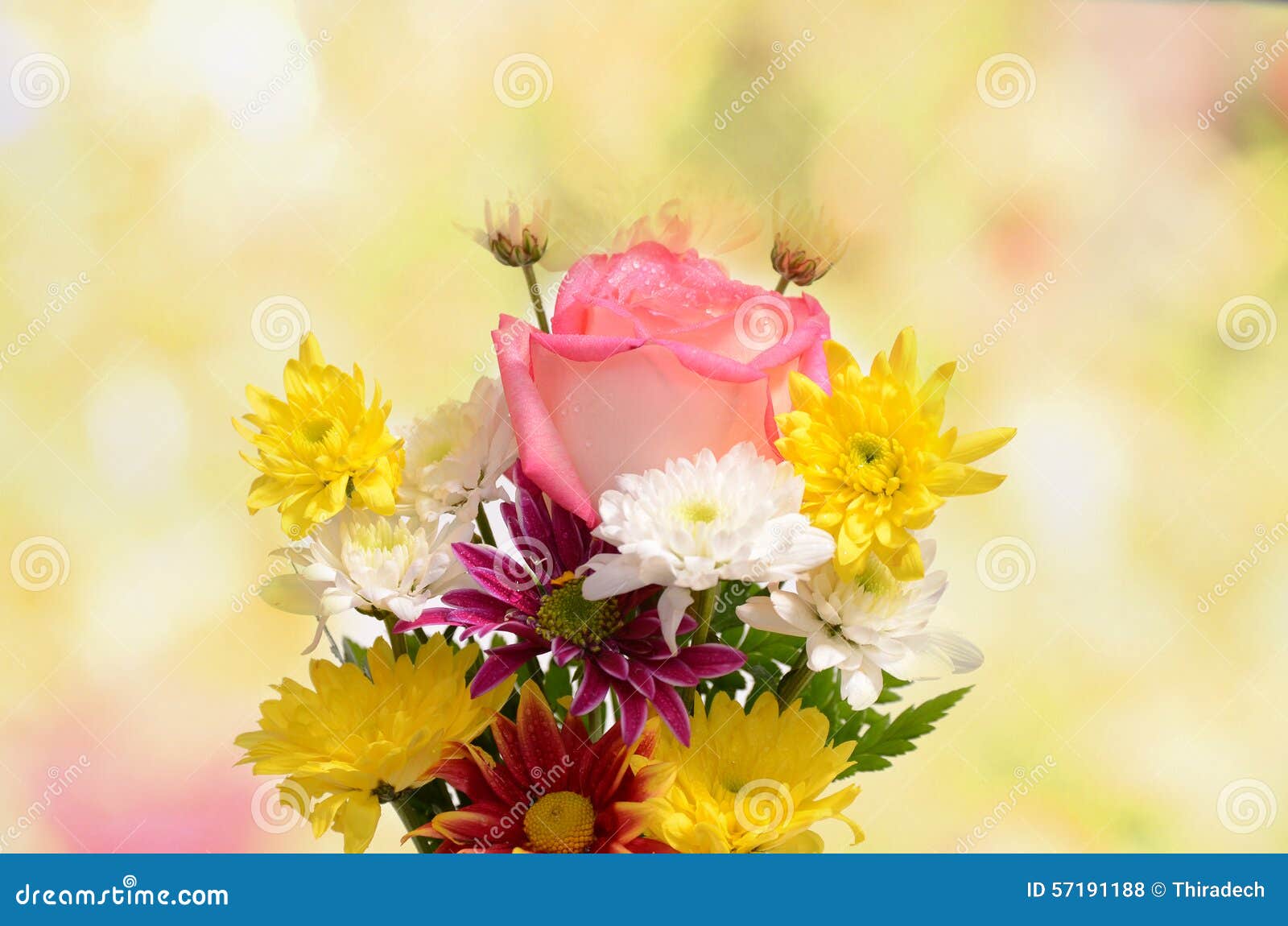 flower bokeh low cost price flower bokeh low cost price
