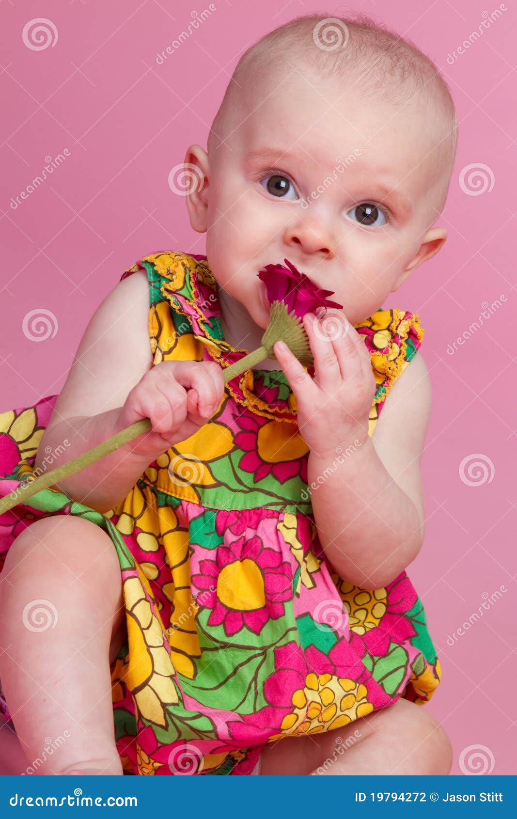 Flower Baby stock photo. Image of person, child, babies 19794272