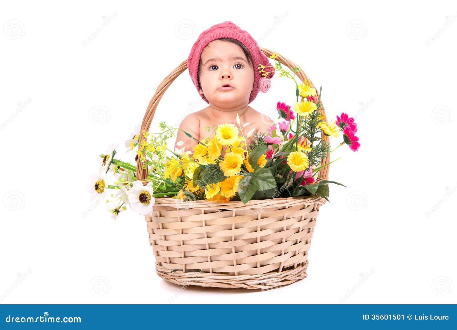 Flower baby stock image. Image of infant, lovely, children 35601501