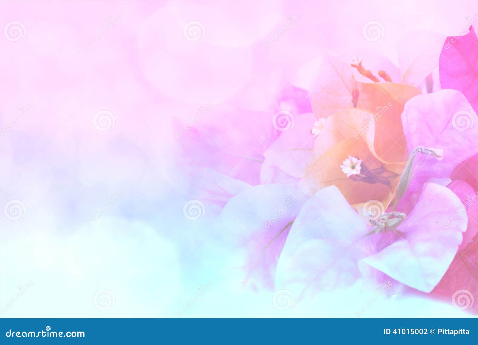 Flower background stock illustration. Illustration of design 41015002