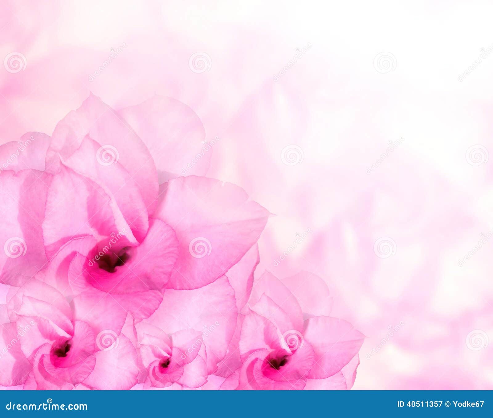 5,609,317 Flower Background Stock Photos - Free & Royalty-Free Stock Photos  from Dreamstime