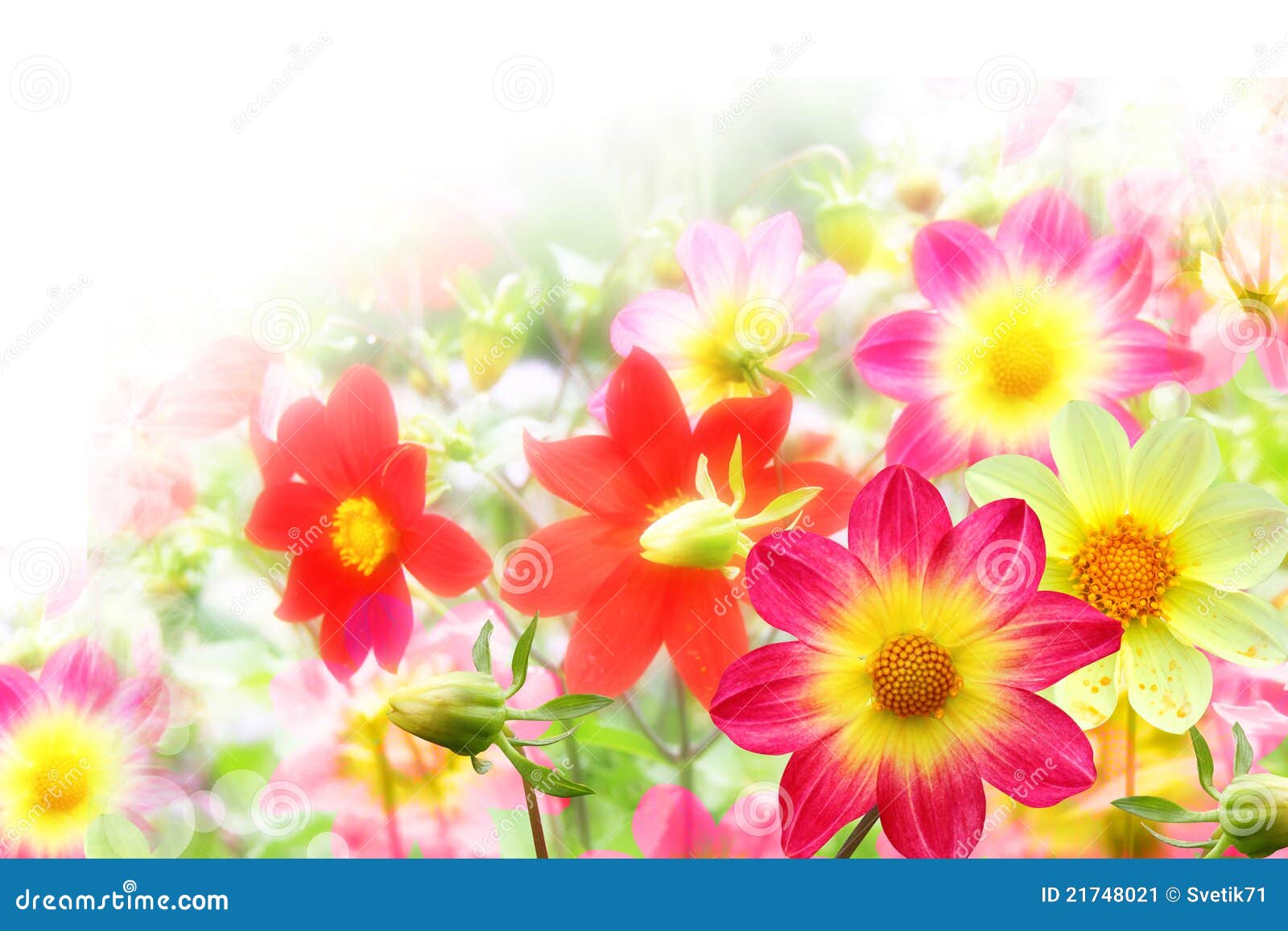 Flower Background From Yellow And Red Colors Stock Image ...