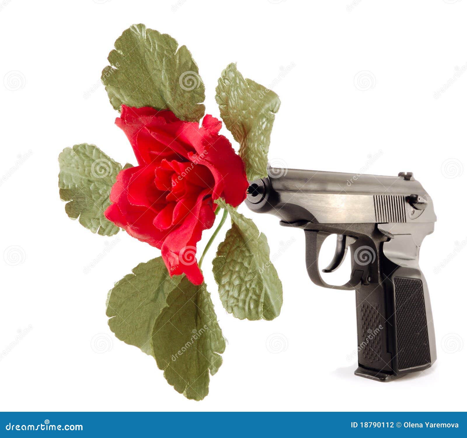 Flower In The Barrel Of The Gun Stock Photo Image of ammunition, shot 18790112
