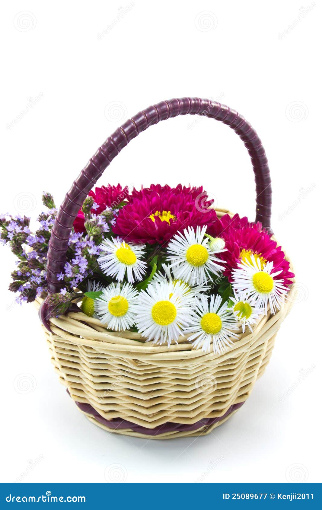 Flower basket stock image. Image of petal, closeup, freshness 25089677