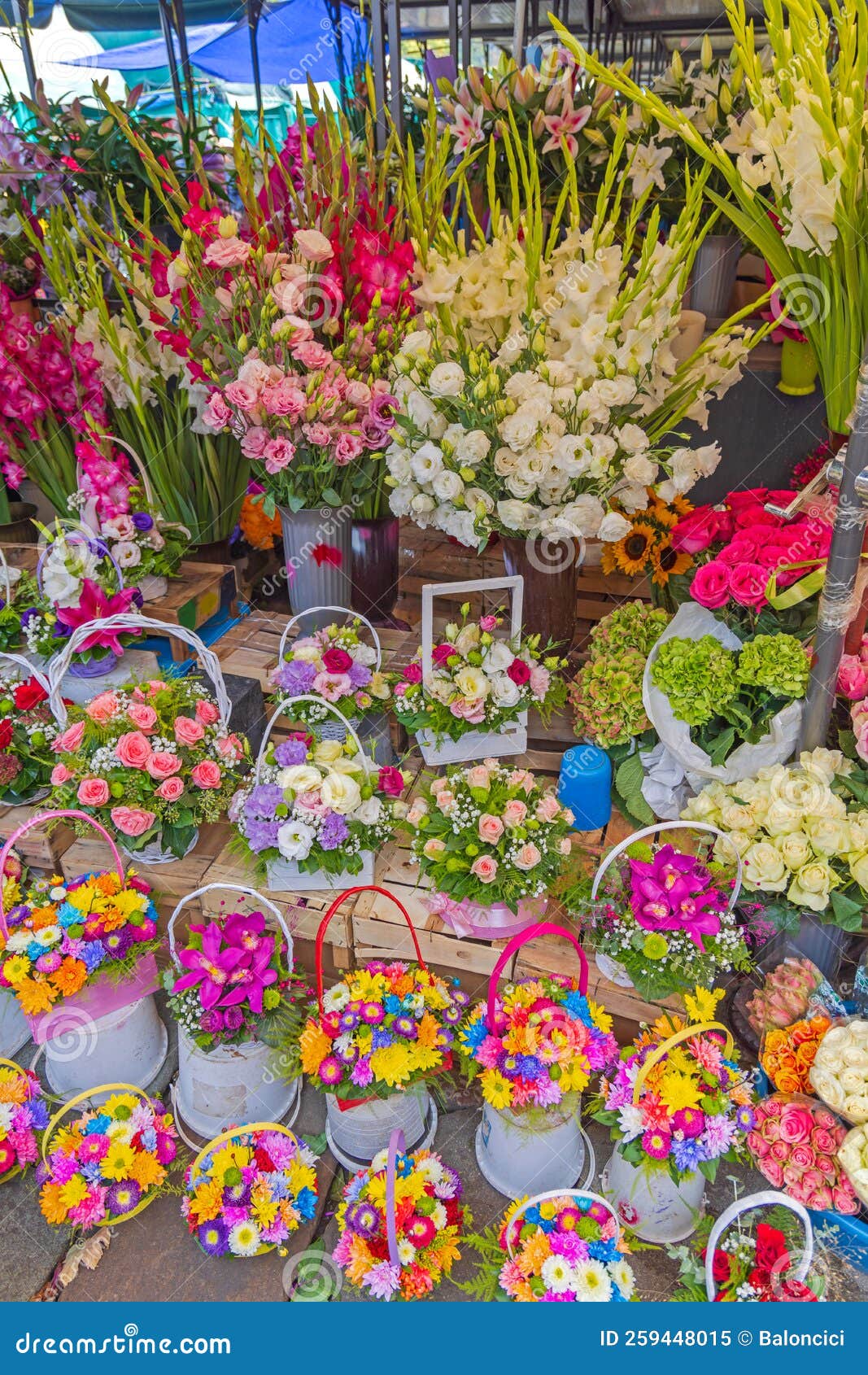 Flower Baskets Florist stock image. Image of roses, bouquets 259448015