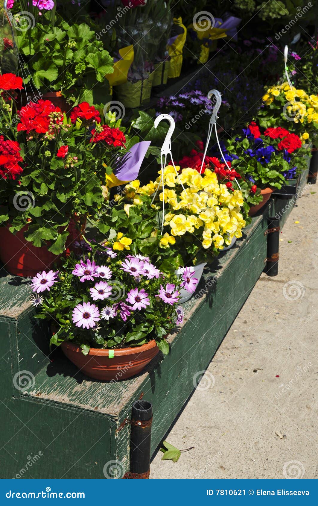 Flower baskets for sale stock image. Image of sale, market 7810621