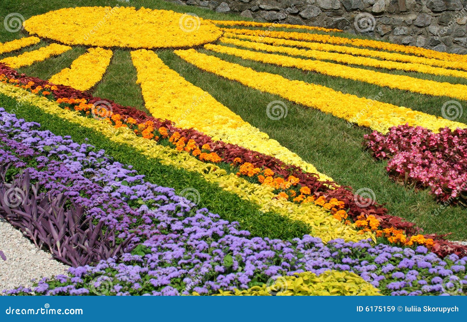 Flower bed stock image. Image of park, geometric, design - 6175159