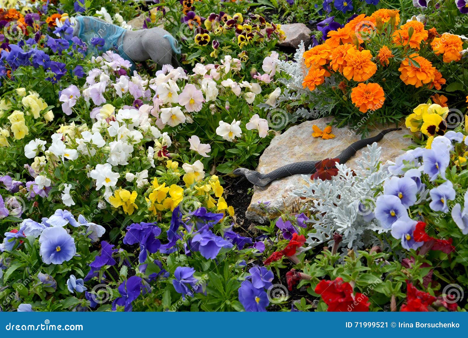 Flower Bed with a Figure of a Snake on a Stone Stock Image Image of