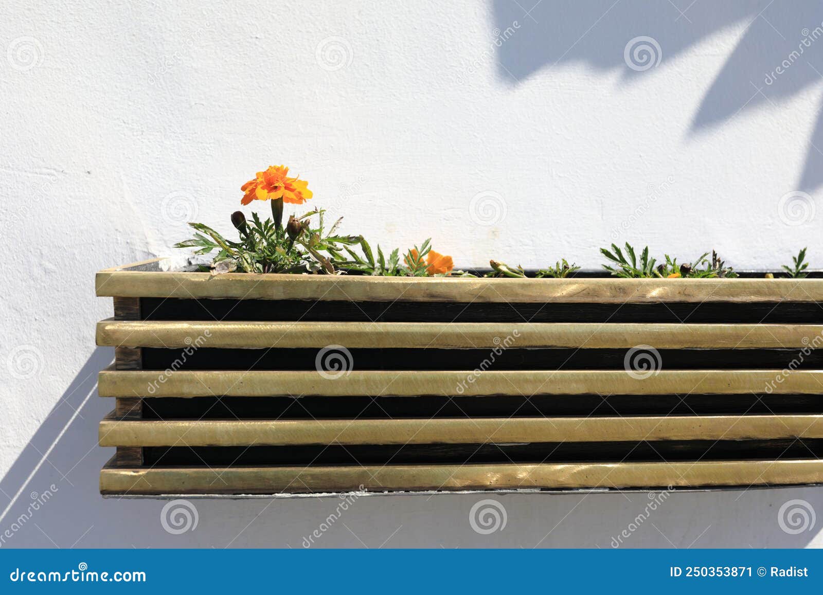 Flower Bed with Flowers Against White Wall Stock Image Image of
