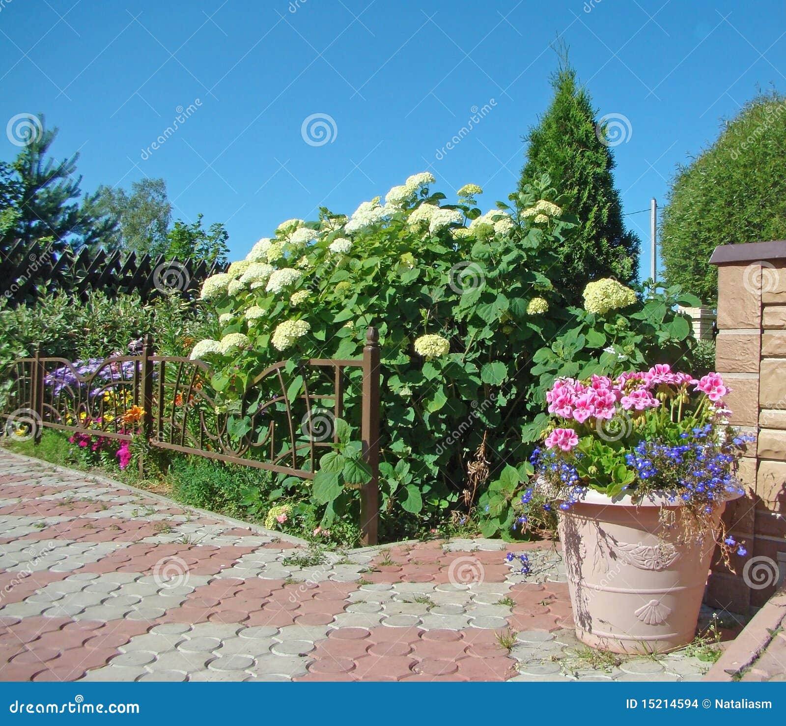 Flower Bed and Ornamental Plants Stock Photo Image of path, coloured 15214594