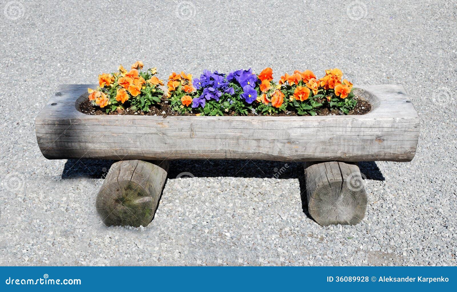 flower bed in a tree trunk