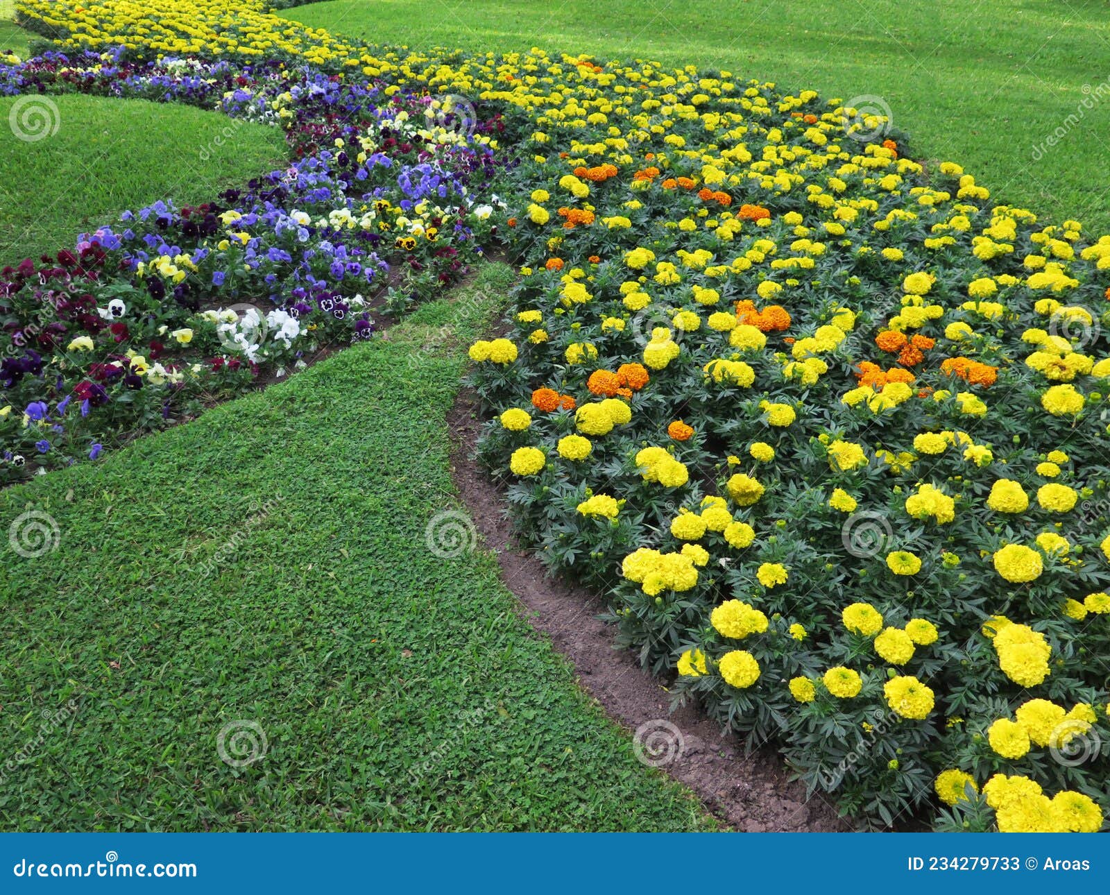 Flower Beds in Formal Garden Stock Image - Image of landscape, nature ...