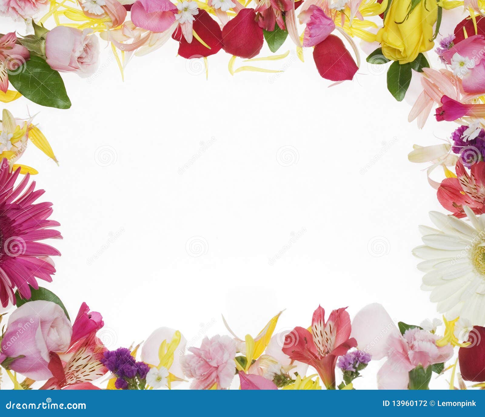 Flower Border stock photo. Image of yellow, background - 13960172