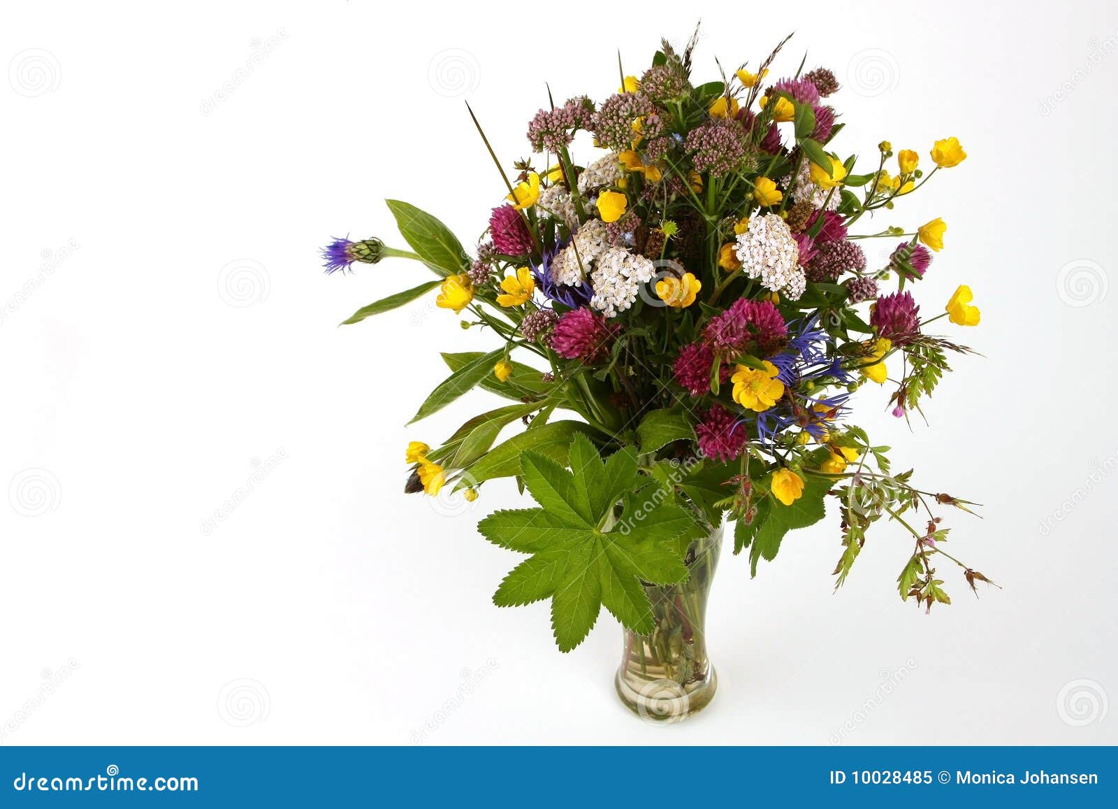 Flower bouquet stock image. Image of floral, bouquet 10028485