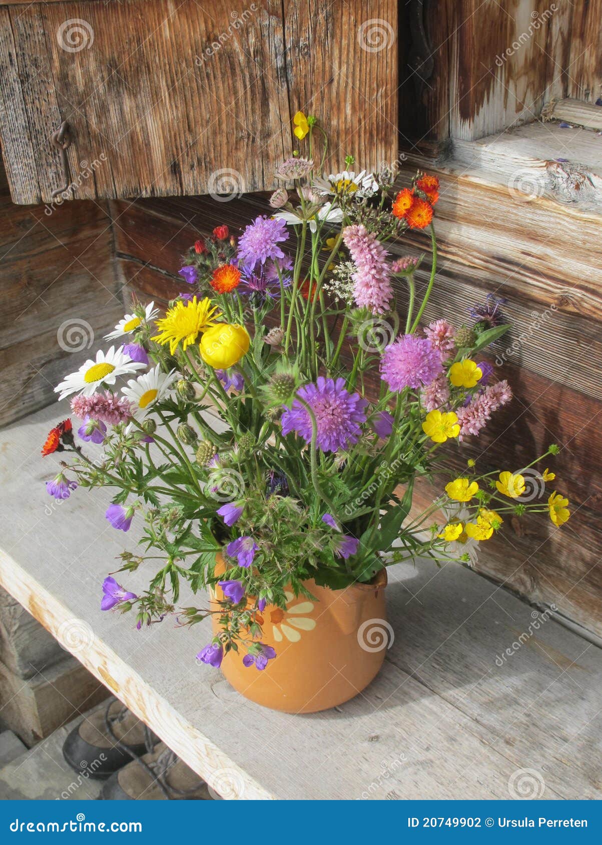 Flower bouquet stock photo. Image of mountain, decoration 20749902