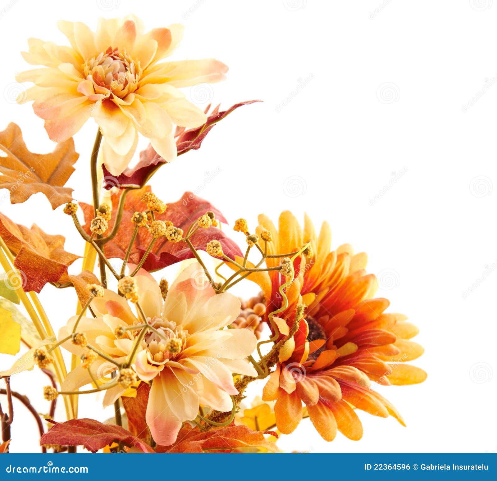 Flower bouquet stock photo. Image of white, collection - 22364596