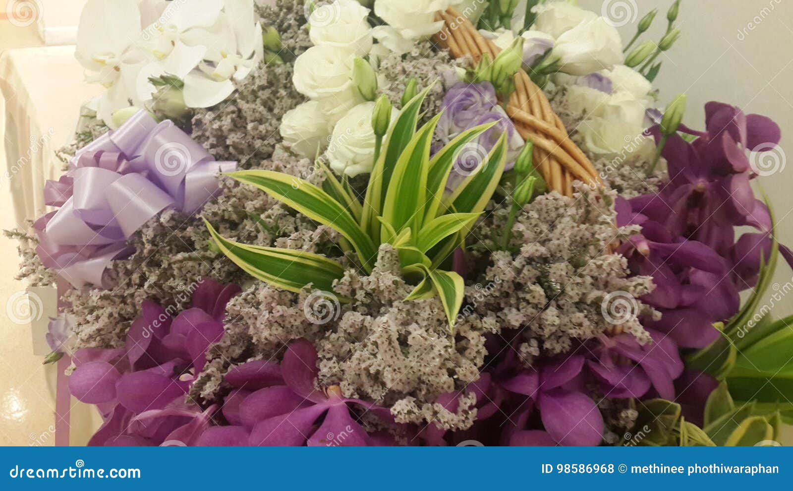 Flower stock photo. Image of flower, health, patient 98586968