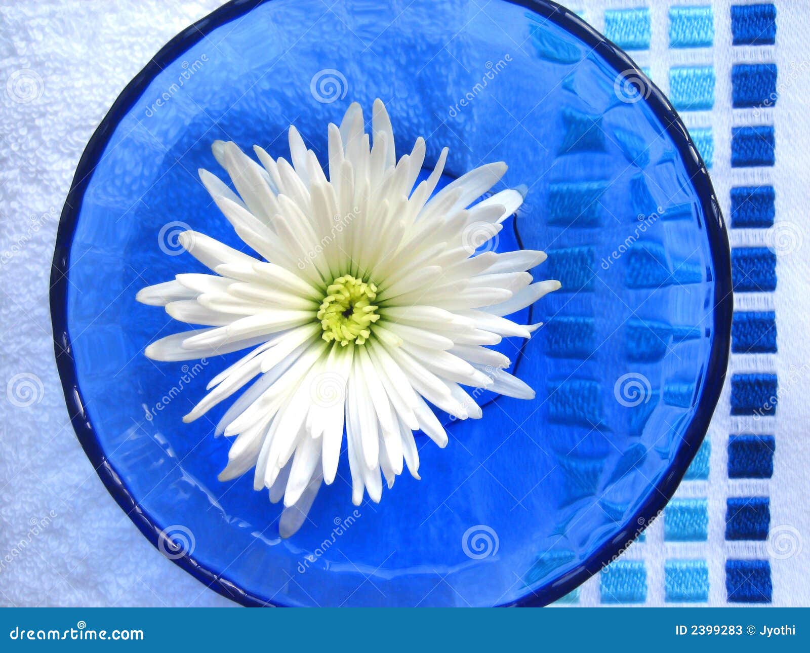 Flower bowl stock image. Image of flower, decoration, bowl 2399283