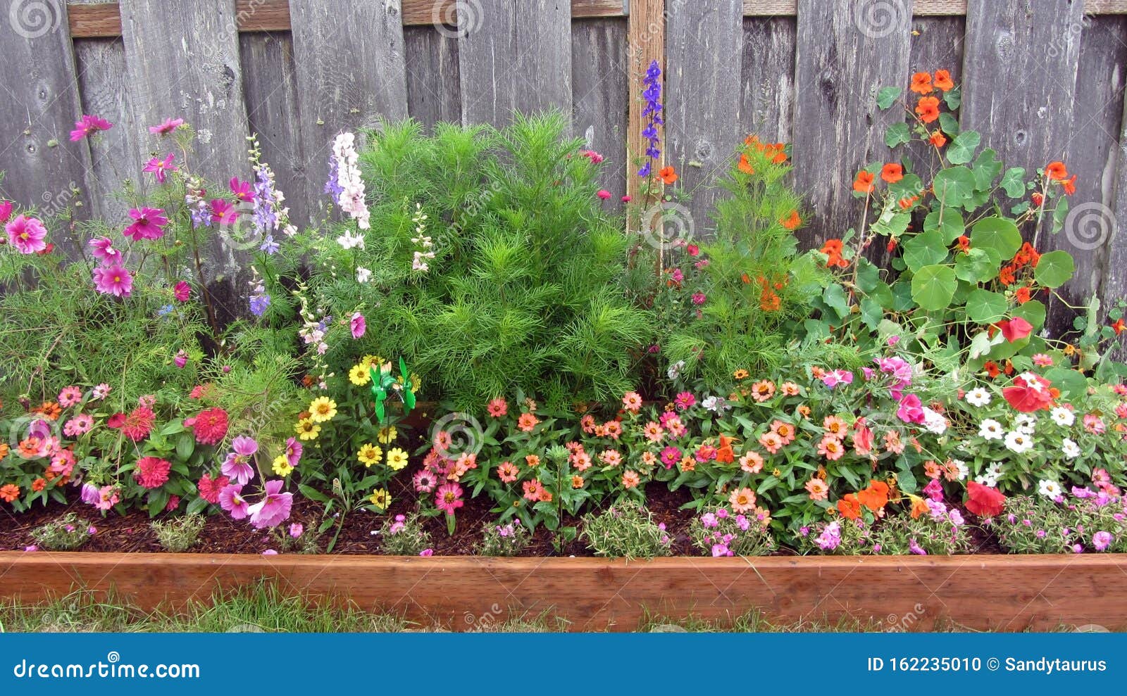 flower box, large raised bed with vibrant annuals and perennials