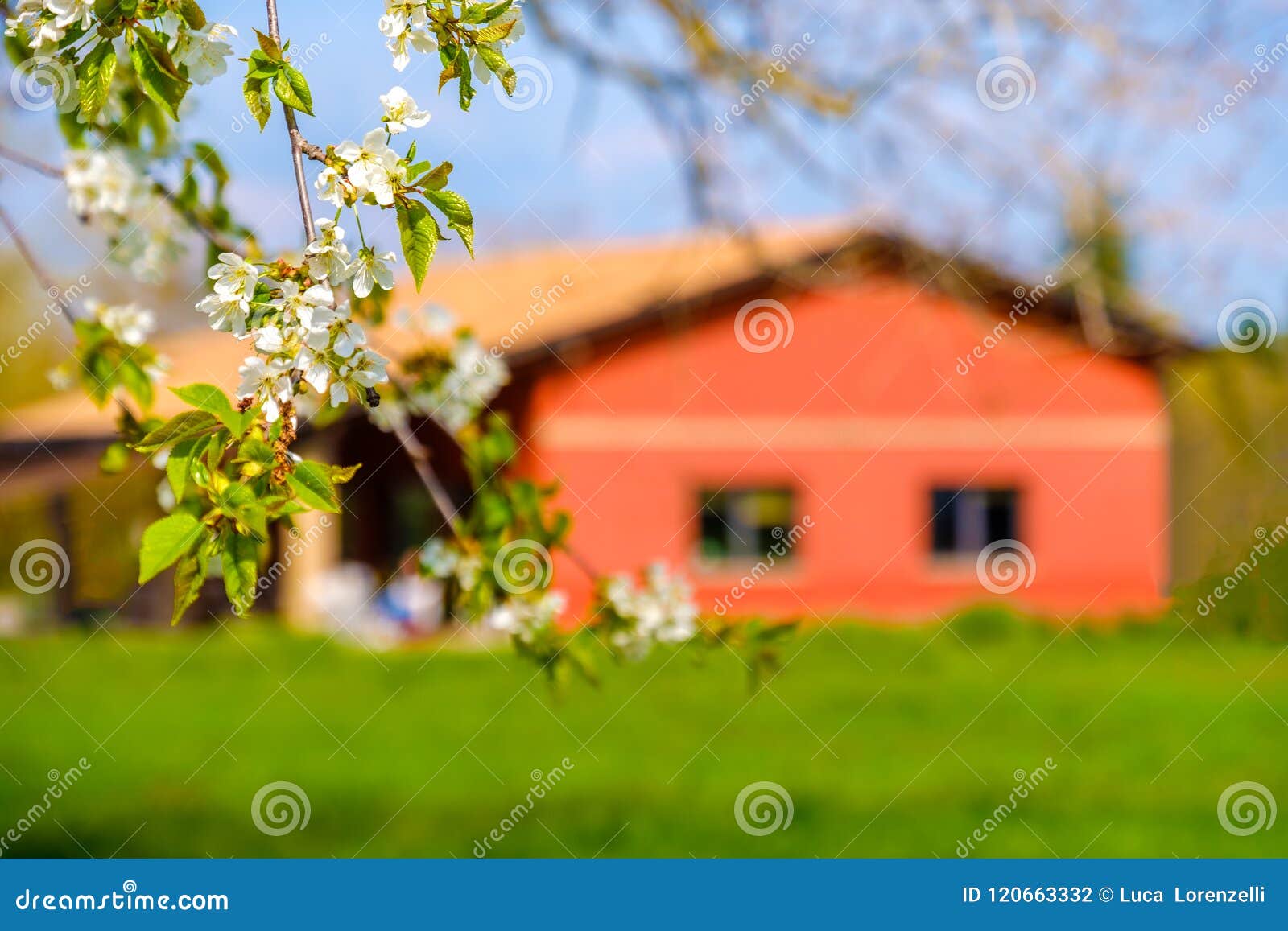 Green Leaves Background Dog Rose Leaf Or Rosa Canina Vertical Green  Photography by Luca Lorenzelli