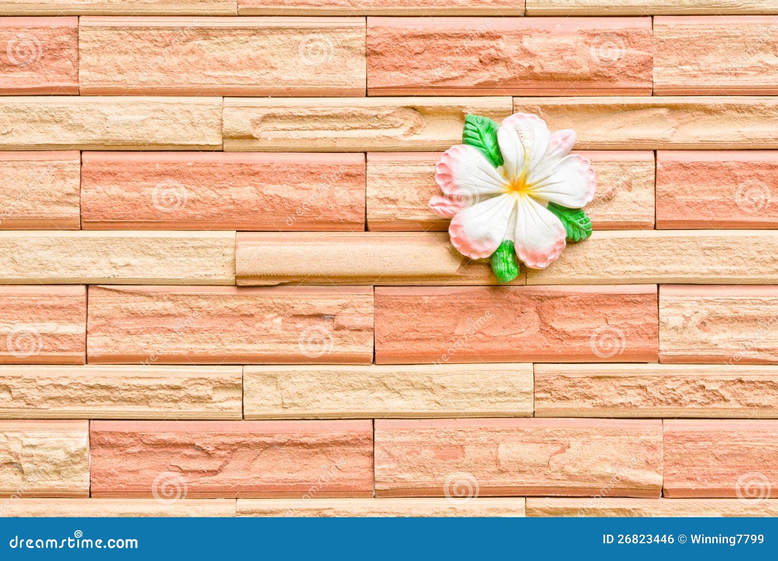 Flower on a brick wall stock photo. Image of exterior 26823446