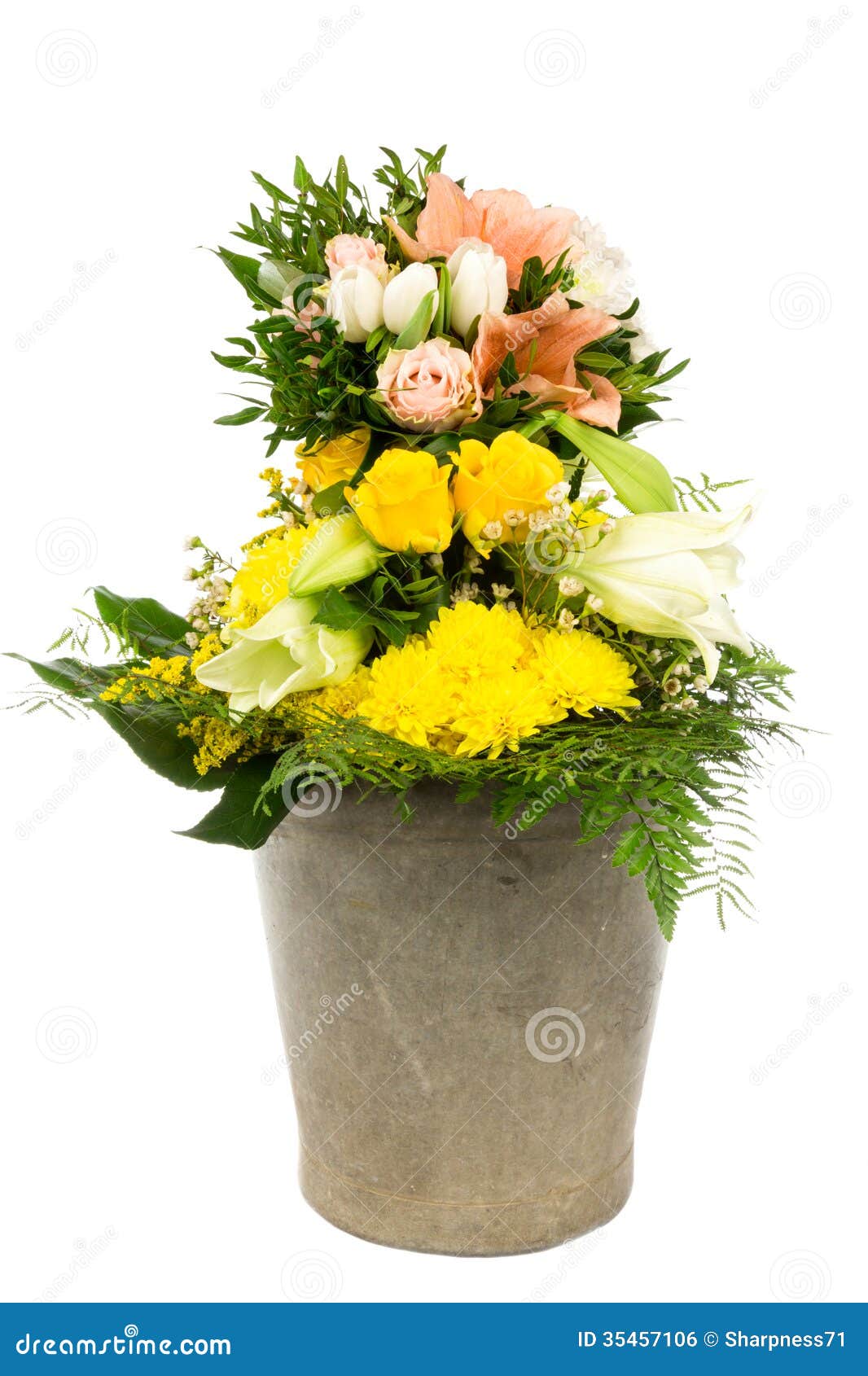 Flower bucket 11 stock photo. Image of grass, chrysanthemums 35457106