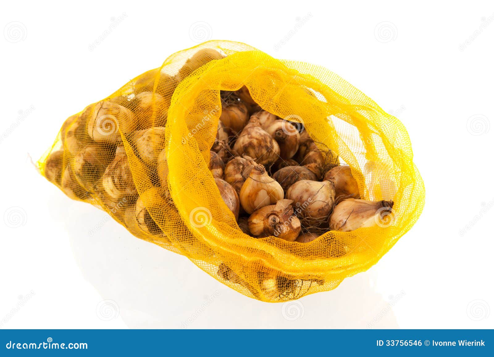 flower bulbs in bag