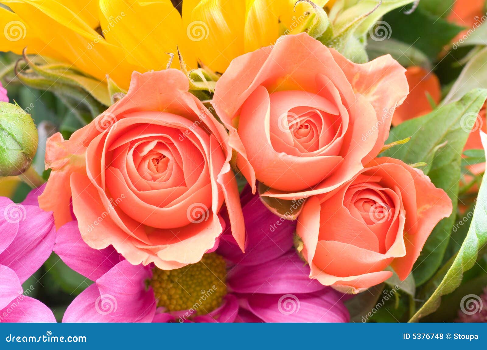 Flower Bunch Royalty Free Stock Photos - Image: 5376748